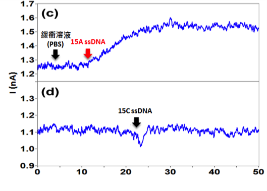  Biomolecule detection